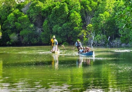 WhatsApp Image 2025-10-15 at 9.53.048 PM