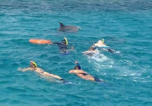 WhatsApp Image 2025-10-15 at 9.j53.05 PM